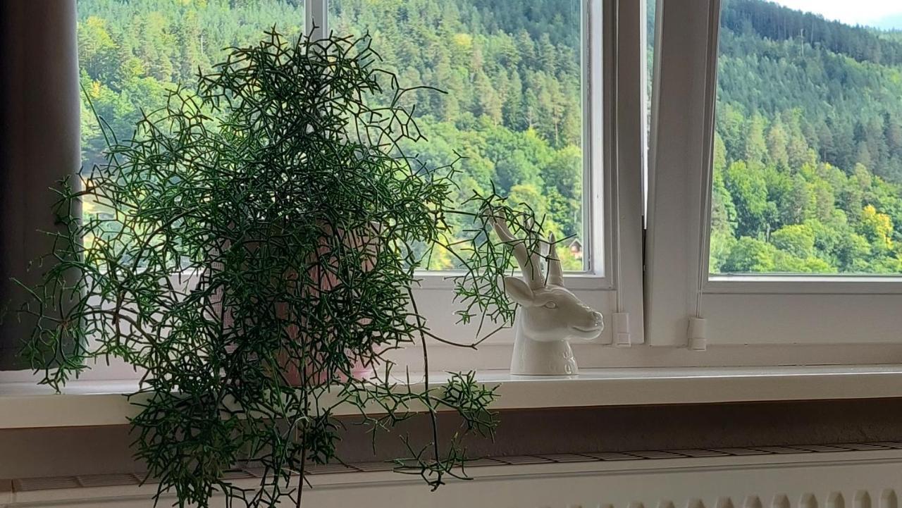 Apartement Am Waldrand Bad Wildbad Exterior photo